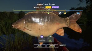 ПРОВЕРЯЕМ ФАРМ НА МЕДНОМ В НОРМАЛЬНУЮ ТЕМПЕРАТУРУ В РУССКОЙ РЫБАЛКЕ 4 СТРИМ