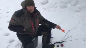 поимка форели на икру