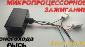 Обзор моего решения для Снегохода Рысь от дружественного ресурса