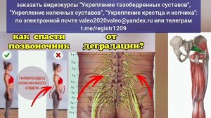 В деградации тазобедренных суставов и таза виноват спазм грушевидной мышцы. Методы декомпрессии