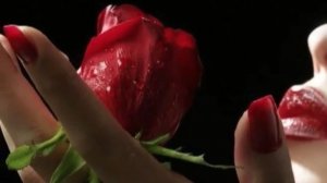 Поздравление с 8 марта. Шуточное поздравление с Праздником 💐