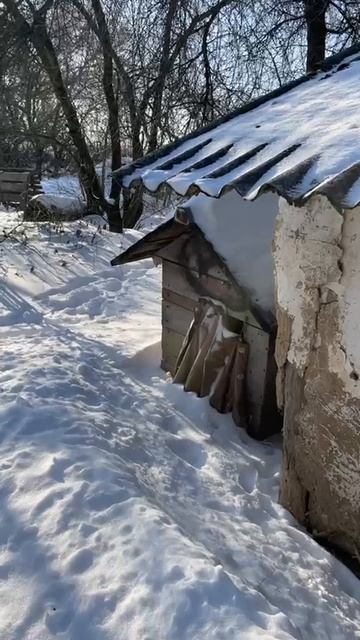 Хруст снега