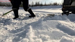 Жерлицы проверка. 21 день.