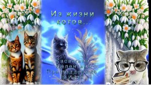 Из жизни котов Музыка: ИИ, слова: ИИ в обработке автора