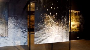 Выставка Петра Швецова в Marina Gisich Gallery #АРТЛИКБЕЗ № 615