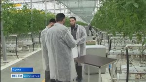 Специалисты Россельхознадзора проверят агропредприятия Ингушетии