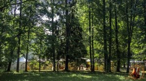 Прогулка по усадьбе Мураново