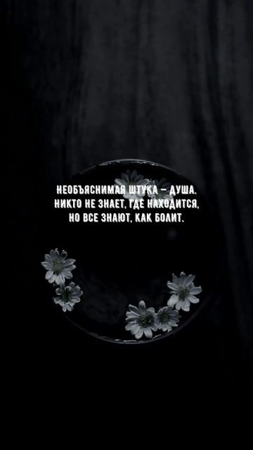 #1094 Цитата дня. Мотивация.