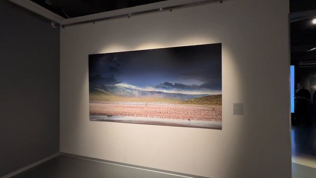 Музейный влог