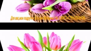 Утро лучами расцвело, лаская,