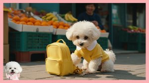 Почему пришлось вскрыть свинку-копилку 🐶