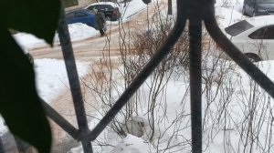 Начало вареников и рыбы,конец компотов