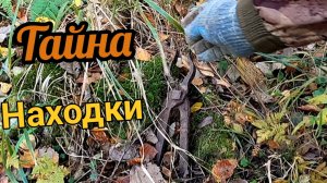 Ради этих находок стоило копать! коп металлолома