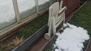 Теплица из балконных раздвижных рам зимой.