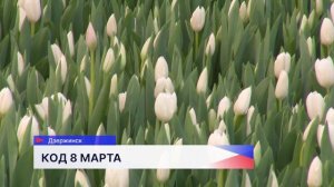 Корреспондент Олеся Мельник рассказала, как выращивают цветы в Дзержинской оранжерее