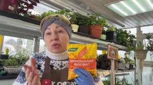 Это удобрение должно быть у всех. Только на рассаде применяйте правильно