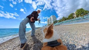 ЯЛТА. КОРГИ Федор оператор. Городской ПРИМОРСКИЙ пляж. КРЫМ сегодня, март 2026