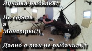 Лучшая рыбалка!   Не сорога а Монстры!!!   Давно я так не рыбачил!!!
