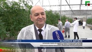 В Чеченской Республике начался фитосанитарный мониторинг тепличных хозяйств