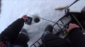 ПОСЛЕ МОРОЗОВ  ЗА СУДАКОМ /