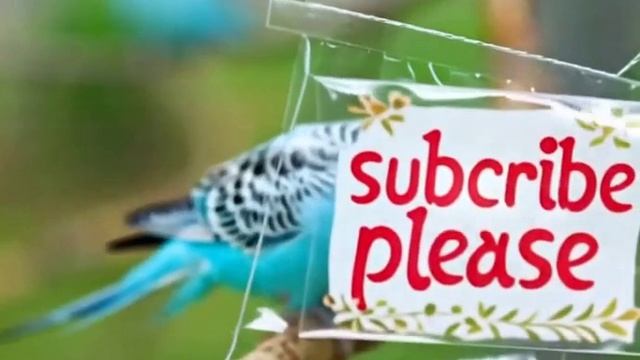 вот что нейросеть сгенерировала. вторая часть