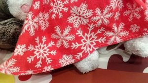 подбираем еду для басиков и Лили