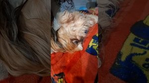 Вечерние процедуры😉☺️