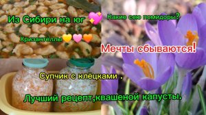 04-03-2026 Переезд из Сибири на юг/Помидоры/Хризантеллы/Морковь/Рецепт квашеной капусты/Вкусный суп/