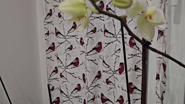 Сытники-Светлана заберает на работу.