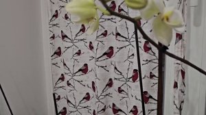 Сытники-Светлана заберает на работу.