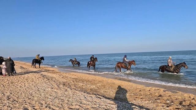 Махачкала | Dagestan, Russia | 01.01.2024