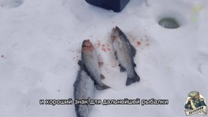 Запуск 4 марта