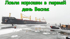 Ловля корюшки в первый день весны. В прилове была и экзотика)