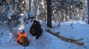 Знакомый лесной маршрут, новые надежды. Возвращение в угодья.