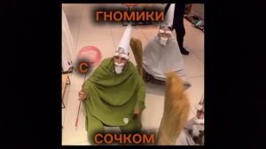 гномики гггномики