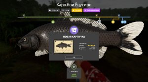 НОВЫЕ РАЗДАЧИ КОИ НА МЕДНОМ, ЦВЕТ НА ЯНТАРКЕ УГОРЬ НА ОСТРОГЕ ОБЗОР ВОДОЕМОВ В РУССКОЙ РЫБАЛКЕ 4 РР4