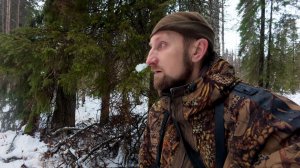 КАК ВОЛКИ БРАЛИ ЛОСЯ, НО ПОЛУЧИЛИ ЗВИЗДЮЛЕЙ. НОЯБРЬ 25Г.