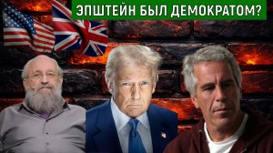 Эпштейн был демократом? Дело Эпштейна почему затронуло демократическую партию США? Вассерман
