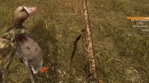 BULT:Hunting simulator-весенняя охота в Якутии-проверяем получок с дробью№4
