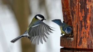 Песенка про март