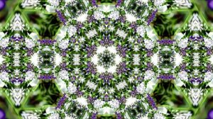 Видеофоны! Видеофон Подснежники 5! Футаж от Киностудии Мудрого Кота Тимофея!