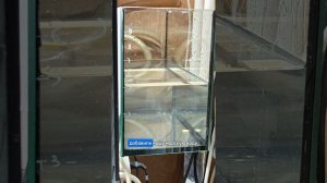 Друзья! Запускаем новый сезон Креветочного марафона! Солим личинку креветки Амано 🔥❤️🦐