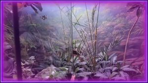 24 часа в ОКЕАНАРИУМЕ 🤯💖🤯