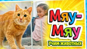 Учим животных | Первые слова малыша | 1 год | Развитие речи