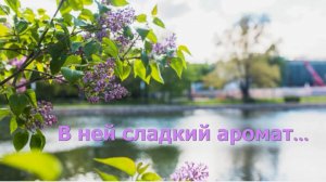 Пусть весна улыбается...