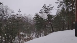 Плюсы и минусы проживания в сельской местности