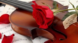 Виолончель. Автор текста Екатерина Морланг. Стихи.