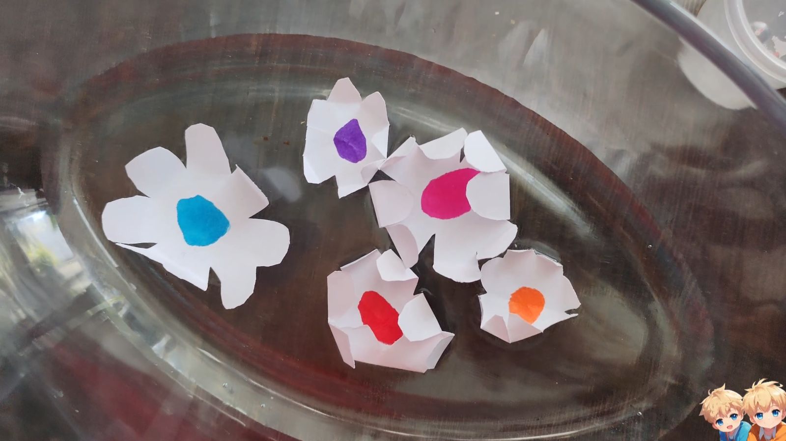 Эксперимент с бумажными цветочками