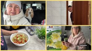 Немного ПОКУПОК. Новые ЧЕРЕНКИ ПЕТУНИИ. Собираемся в БАНЮ