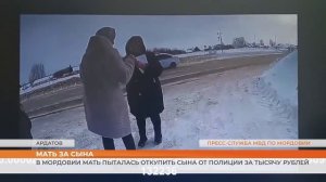 Жительница Ардатовского района пыталась дать взятку сотрудникам Госавтоинспекции